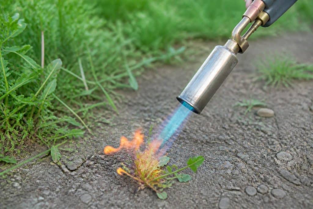 découvrez comment le désherbeur thermique au gaz offre une solution écologique pour éliminer efficacement les mauvaises herbes, en réduisant l'usage des produits chimiques et en respectant l'environnement.