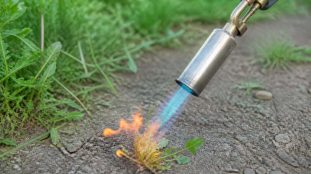 découvrez comment le désherbeur thermique au gaz offre une solution écologique pour éliminer efficacement les mauvaises herbes, en réduisant l'usage des produits chimiques et en respectant l'environnement.